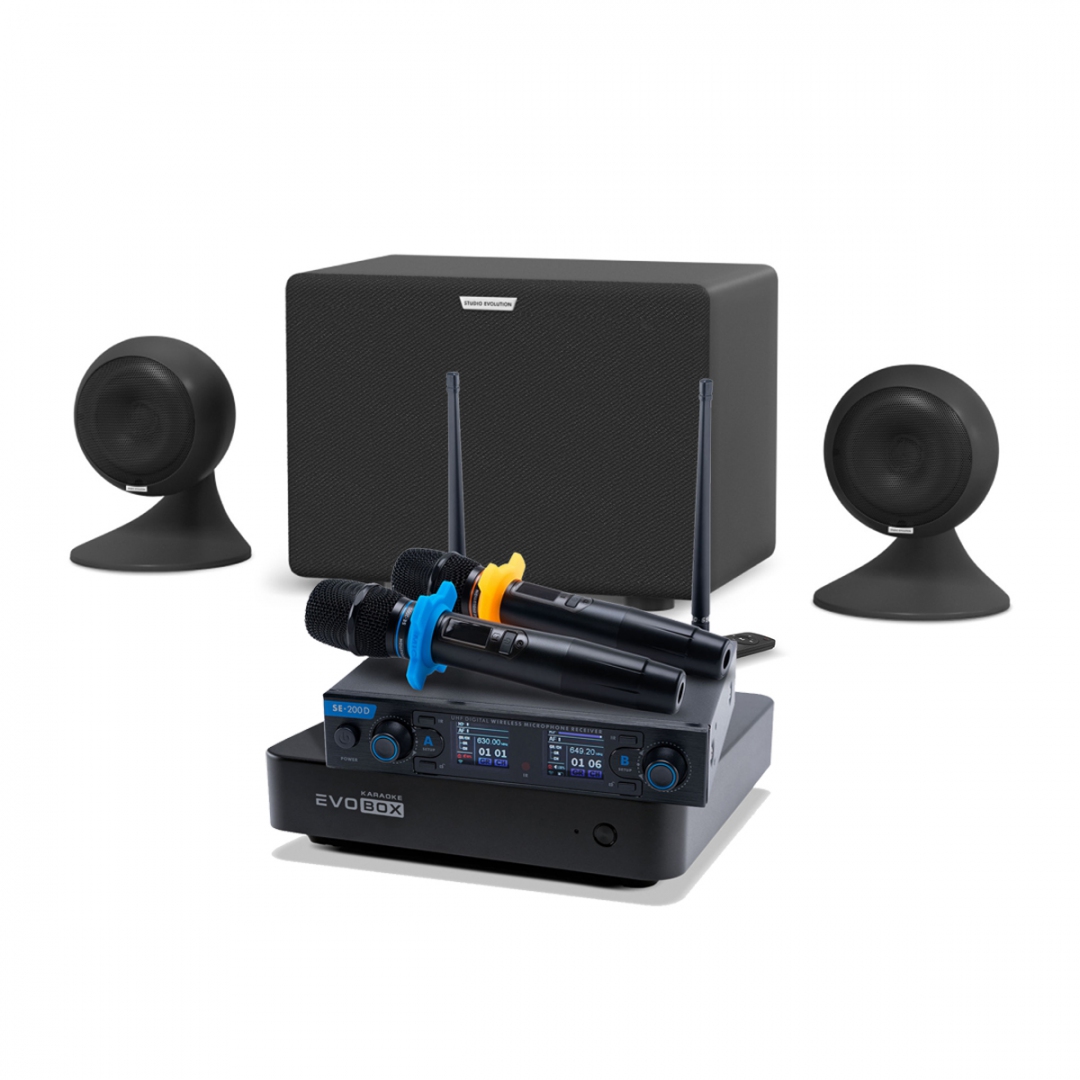 караоке-комплект EVOBOX + EvoSound Sphere 2.1 в Никели