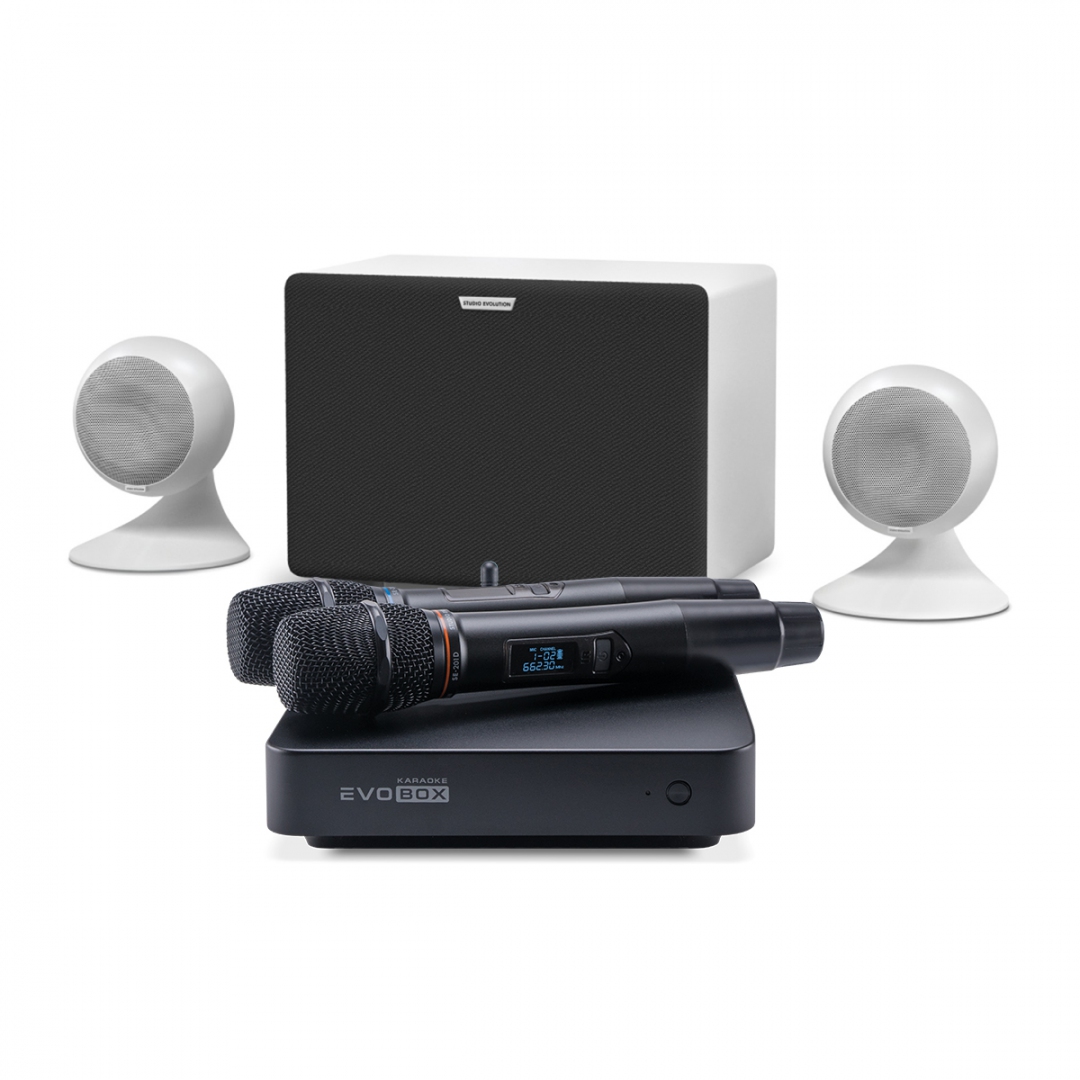 караоке-комплект EVOBOX Classic + EvoSound Sphere 2.1 в Никели