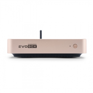 EVOBOX Plus караоке-система для дома в Никели