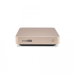 EVOBOX с микрофонами в Никели